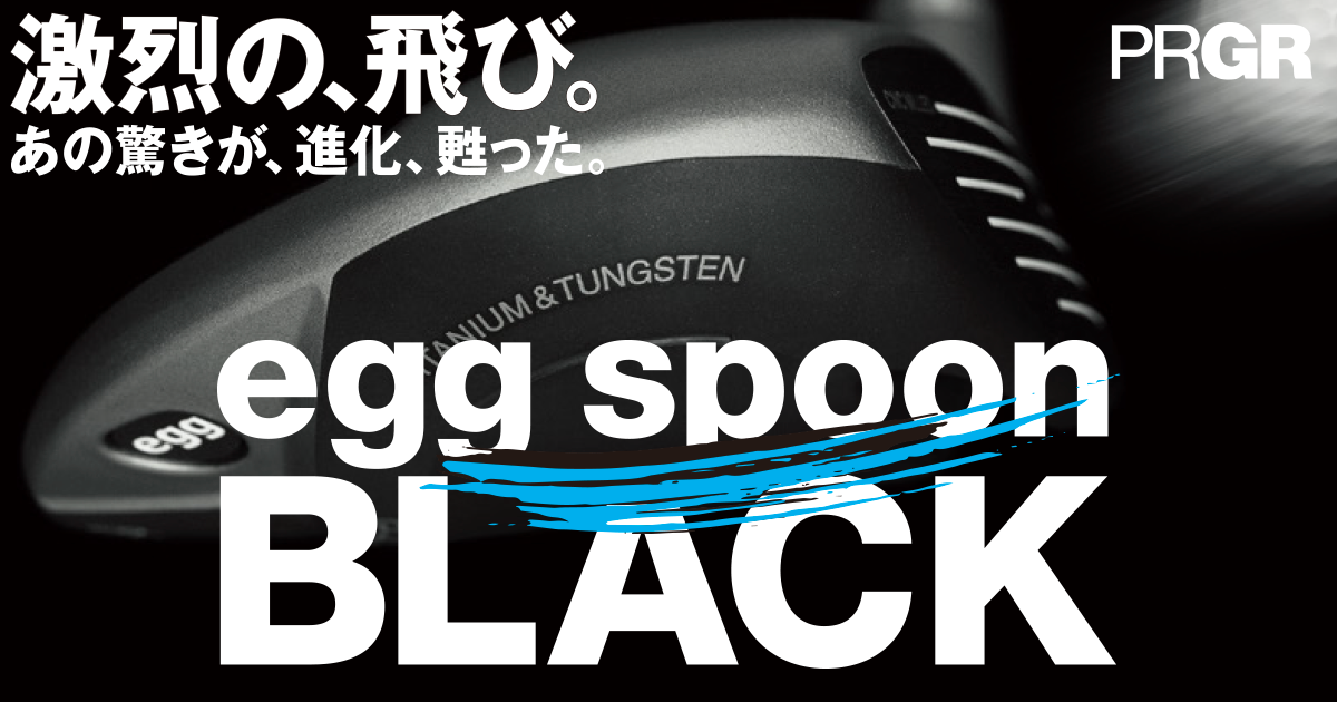 プロギアRSDジャストDR10.5  egg spoon BLACK　15°