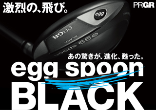 激烈の飛び。egg spoon BLACK カタログ