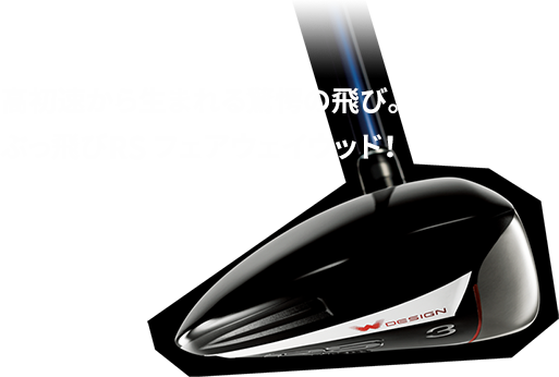 rs-fw
